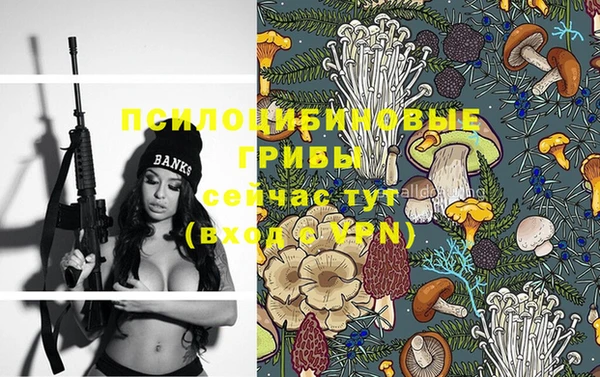 гашик Абинск