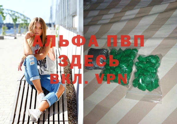 спиды Абаза