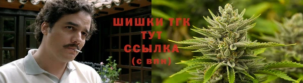 гашик Абинск