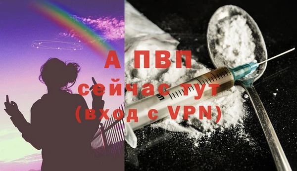 спиды Абаза