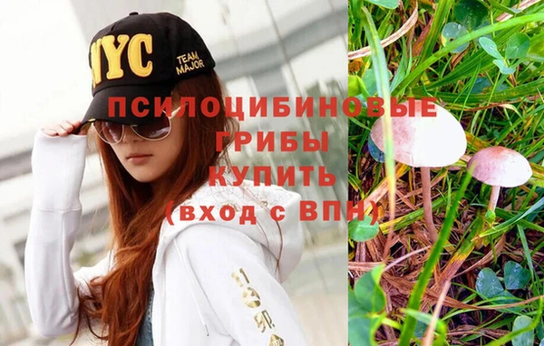 гашик Абинск