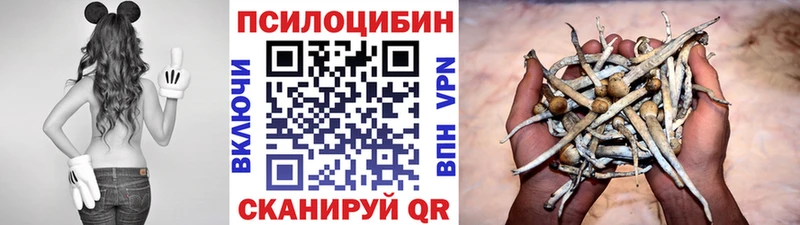 Галлюциногенные грибы прущие грибы  Болхов 